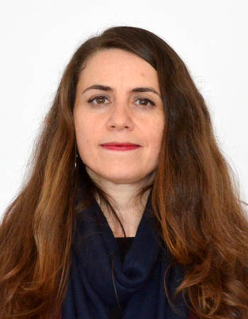 Assoc. Prof. Dr. UMUT BOZKURT